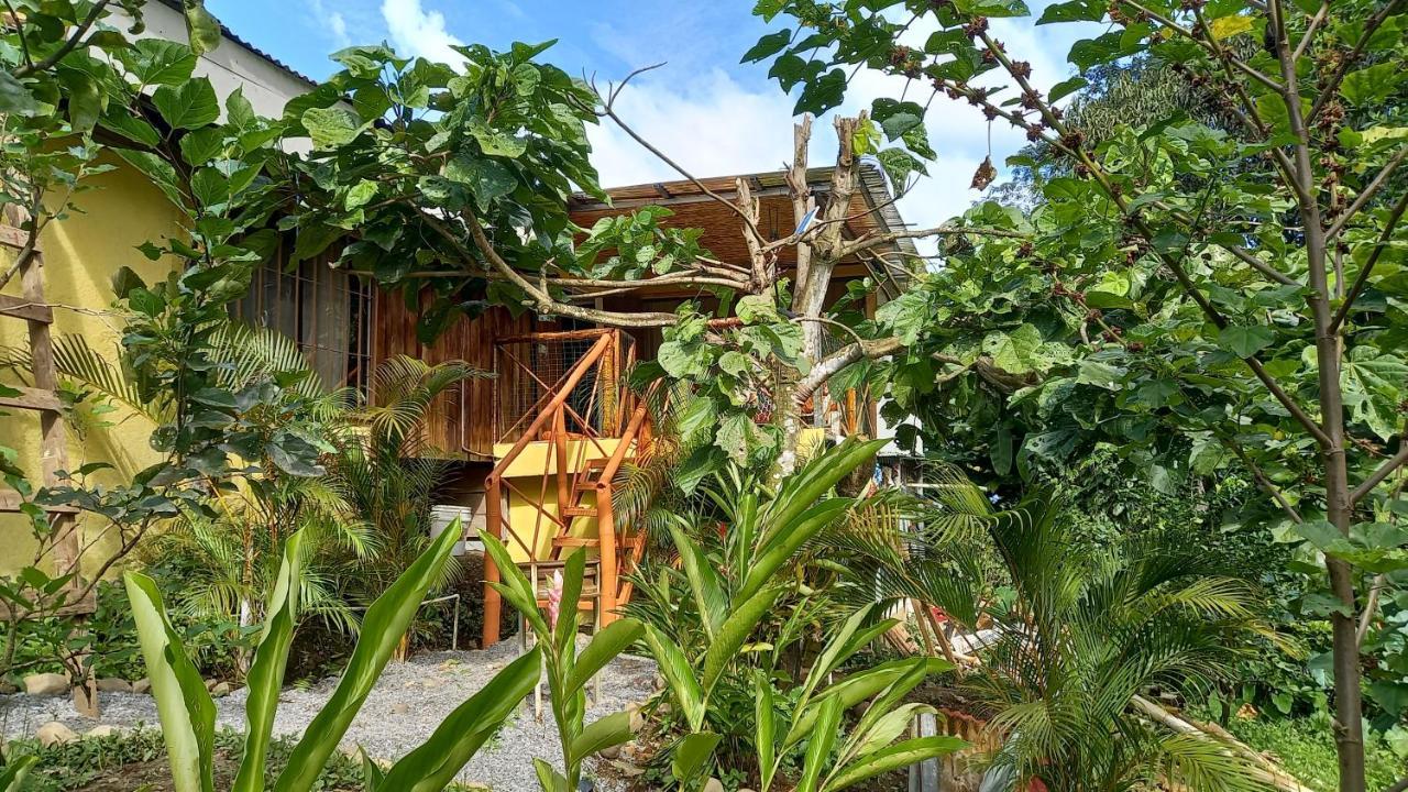 Cacao Lodge And Tours La Fortuna Buitenkant foto